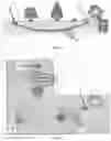 Fig. 04 - Method of deploying a heat exchanger pipe