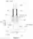 Fig. 18 - Electronic expansion valve
