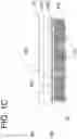 Fig. 04 - TUBULAR MEMBRANE HEAT EXCHANGER