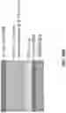 Fig. 12 - Radiative cooling with solar spectrum reflection