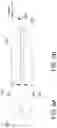 Fig. 06 - Enhanced Projectile for Modern Pneumatic Sporting Devices /Air Rifles
