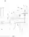 Fig. 04 - Coherent anti-Stokes Raman scattering microscope imaging apparatus