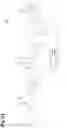 Fig. 34 - Dispersion measuring device, pulse light source, dispersion measuring method, and dispersion compensating method
