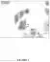 Fig. 04 - CYTOLOGICAL STAINING COMPOSITIONS AND USES THEREOF