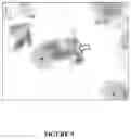 Fig. 06 - CYTOLOGICAL STAINING COMPOSITIONS AND USES THEREOF