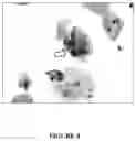 Fig. 09 - CYTOLOGICAL STAINING COMPOSITIONS AND USES THEREOF
