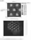 Fig. 23 - Microscopic object collection system and microscopic object collection method