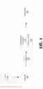 Fig. 02 - Method and system for visualization of endotoxins in a fluid sample