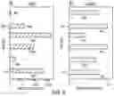 Fig. 04 - Method and composition for quantifying protein using tagged standards