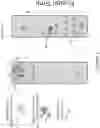 Fig. 02 - Analytical method