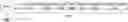 Fig. 01 - MULTIPLEXED SINGLE CELL IMMUNOASSAY