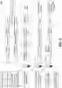 Fig. 03 - MULTIPLEXED SINGLE CELL IMMUNOASSAY