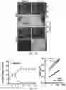Fig. 04 - Fibrosis model and methods of use thereof