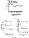 Fig. 19 - Fibrosis model and methods of use thereof