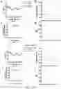 Fig. 24 - Fibrosis model and methods of use thereof