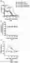 Fig. 29 - Fibrosis model and methods of use thereof