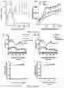 Fig. 31 - Fibrosis model and methods of use thereof