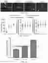Fig. 33 - Fibrosis model and methods of use thereof