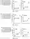 Fig. 41 - Fibrosis model and methods of use thereof