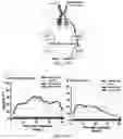 Fig. 48 - Fibrosis model and methods of use thereof