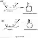 Fig. 05 - Method for relative quantification of nucleic acid sequence, expression, or copy changes, using combined nuclease, ligation, and polymerase reactions