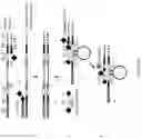 Fig. 12 - Method for relative quantification of nucleic acid sequence, expression, or copy changes, using combined nuclease, ligation, and polymerase reactions