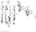 Fig. 13 - Method for relative quantification of nucleic acid sequence, expression, or copy changes, using combined nuclease, ligation, and polymerase reactions