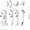 Fig. 18 - Method for relative quantification of nucleic acid sequence, expression, or copy changes, using combined nuclease, ligation, and polymerase reactions