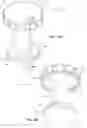 Fig. 10 - PATHOGEN SAMPLING AND TESTING