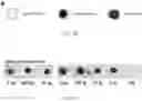 Fig. 05 - METHOD FOR DETECTION OF VIRAL INFECTIONS USING SPLIT ENZYMES