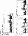 Fig. 07 - A METHOD FOR DETERMINING THE LIKELIHOOD OF A PATIENT BEING RESPONSIVE TO CANCER IMMUNOTHERAPY