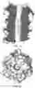 Fig. 04 - Sensor