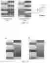 Fig. 11 - Sensor