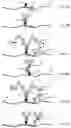 Fig. 03 - SIGNALING CONJUGATES AND METHODS OF USE