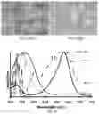 Fig. 14 - SIGNALING CONJUGATES AND METHODS OF USE