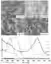 Fig. 15 - SIGNALING CONJUGATES AND METHODS OF USE