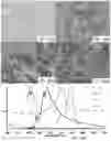 Fig. 16 - SIGNALING CONJUGATES AND METHODS OF USE