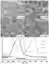 Fig. 17 - SIGNALING CONJUGATES AND METHODS OF USE