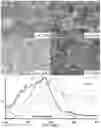 Fig. 18 - SIGNALING CONJUGATES AND METHODS OF USE
