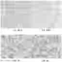 Fig. 25 - SIGNALING CONJUGATES AND METHODS OF USE