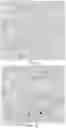 Fig. 26 - SIGNALING CONJUGATES AND METHODS OF USE