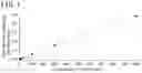 Fig. 02 - QUANTITATIVE DETERMINATION METHOD FOR Hex4, LYSO-GM1, Fuc-GlcNAc-Asn, AND LYSO-SULFATIDE INCLUDED IN CEREBROSPINAL FLUID