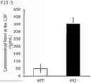 Fig. 04 - QUANTITATIVE DETERMINATION METHOD FOR Hex4, LYSO-GM1, Fuc-GlcNAc-Asn, AND LYSO-SULFATIDE INCLUDED IN CEREBROSPINAL FLUID