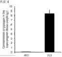 Fig. 05 - QUANTITATIVE DETERMINATION METHOD FOR Hex4, LYSO-GM1, Fuc-GlcNAc-Asn, AND LYSO-SULFATIDE INCLUDED IN CEREBROSPINAL FLUID