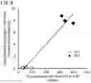 Fig. 07 - QUANTITATIVE DETERMINATION METHOD FOR Hex4, LYSO-GM1, Fuc-GlcNAc-Asn, AND LYSO-SULFATIDE INCLUDED IN CEREBROSPINAL FLUID