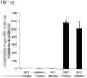 Fig. 13 - QUANTITATIVE DETERMINATION METHOD FOR Hex4, LYSO-GM1, Fuc-GlcNAc-Asn, AND LYSO-SULFATIDE INCLUDED IN CEREBROSPINAL FLUID