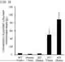 Fig. 16 - QUANTITATIVE DETERMINATION METHOD FOR Hex4, LYSO-GM1, Fuc-GlcNAc-Asn, AND LYSO-SULFATIDE INCLUDED IN CEREBROSPINAL FLUID
