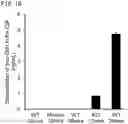 Fig. 19 - QUANTITATIVE DETERMINATION METHOD FOR Hex4, LYSO-GM1, Fuc-GlcNAc-Asn, AND LYSO-SULFATIDE INCLUDED IN CEREBROSPINAL FLUID