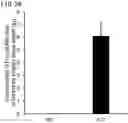 Fig. 27 - QUANTITATIVE DETERMINATION METHOD FOR Hex4, LYSO-GM1, Fuc-GlcNAc-Asn, AND LYSO-SULFATIDE INCLUDED IN CEREBROSPINAL FLUID