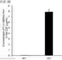 Fig. 31 - QUANTITATIVE DETERMINATION METHOD FOR Hex4, LYSO-GM1, Fuc-GlcNAc-Asn, AND LYSO-SULFATIDE INCLUDED IN CEREBROSPINAL FLUID